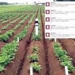 augmented-reality-in-farming