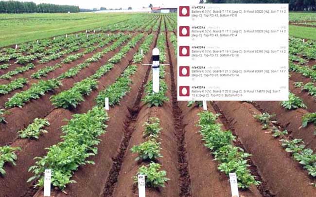 augmented-reality-in-farming