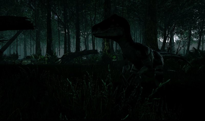 A raptor in the darkness in Island 359.