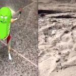 apple-ar-immersion-vr-turns-itself-into-pickle-with-latest-rick-morty-arkit-creation.1280×600