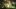 ark-eggs-16×9