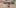 Sketchfab-Stellar-16×8