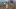 FinalAssault_Bomber_Crashing_01-16×9