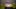 seedling_01-16×9