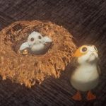 magic-leap-jumps-into-star-wars-universe-with-release-project-porg-app.1280×600
